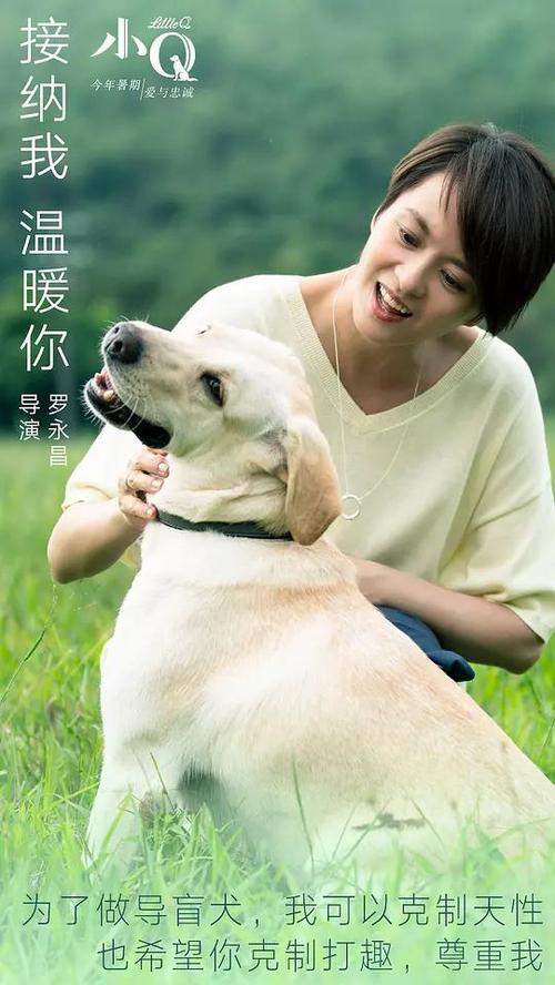 不动产权证图片 商业